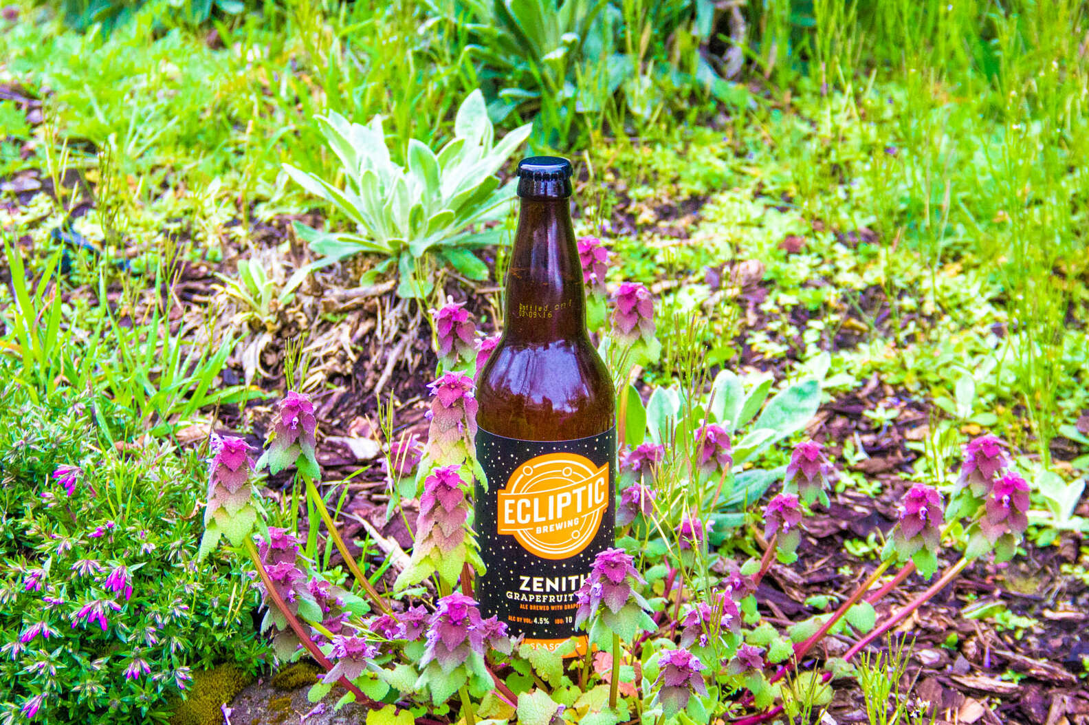 Best Spring Seasonal Beers - Thrillist