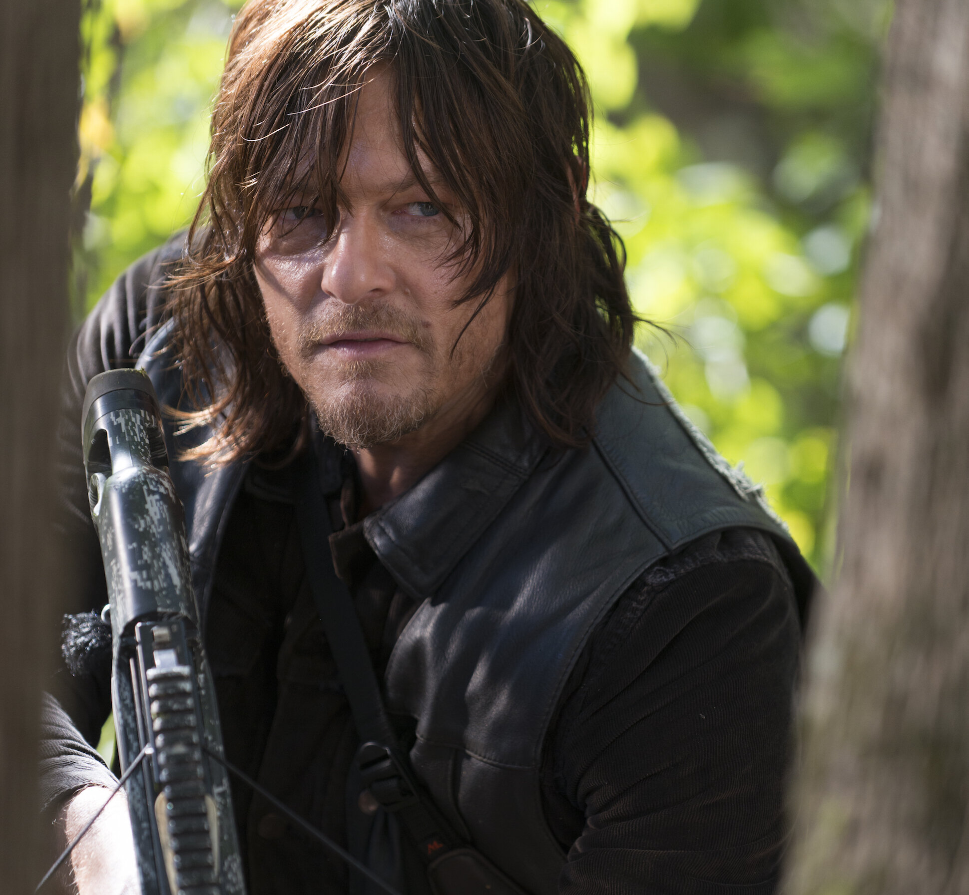 Daryl Dixon, The Walking Dead