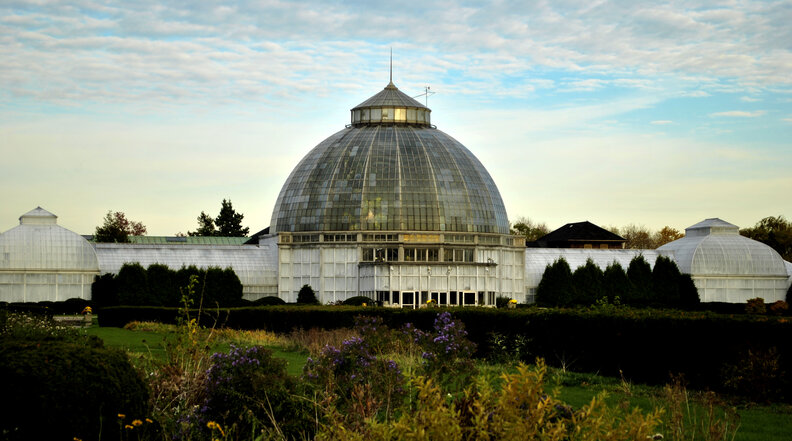 belle isle conservancy detroit