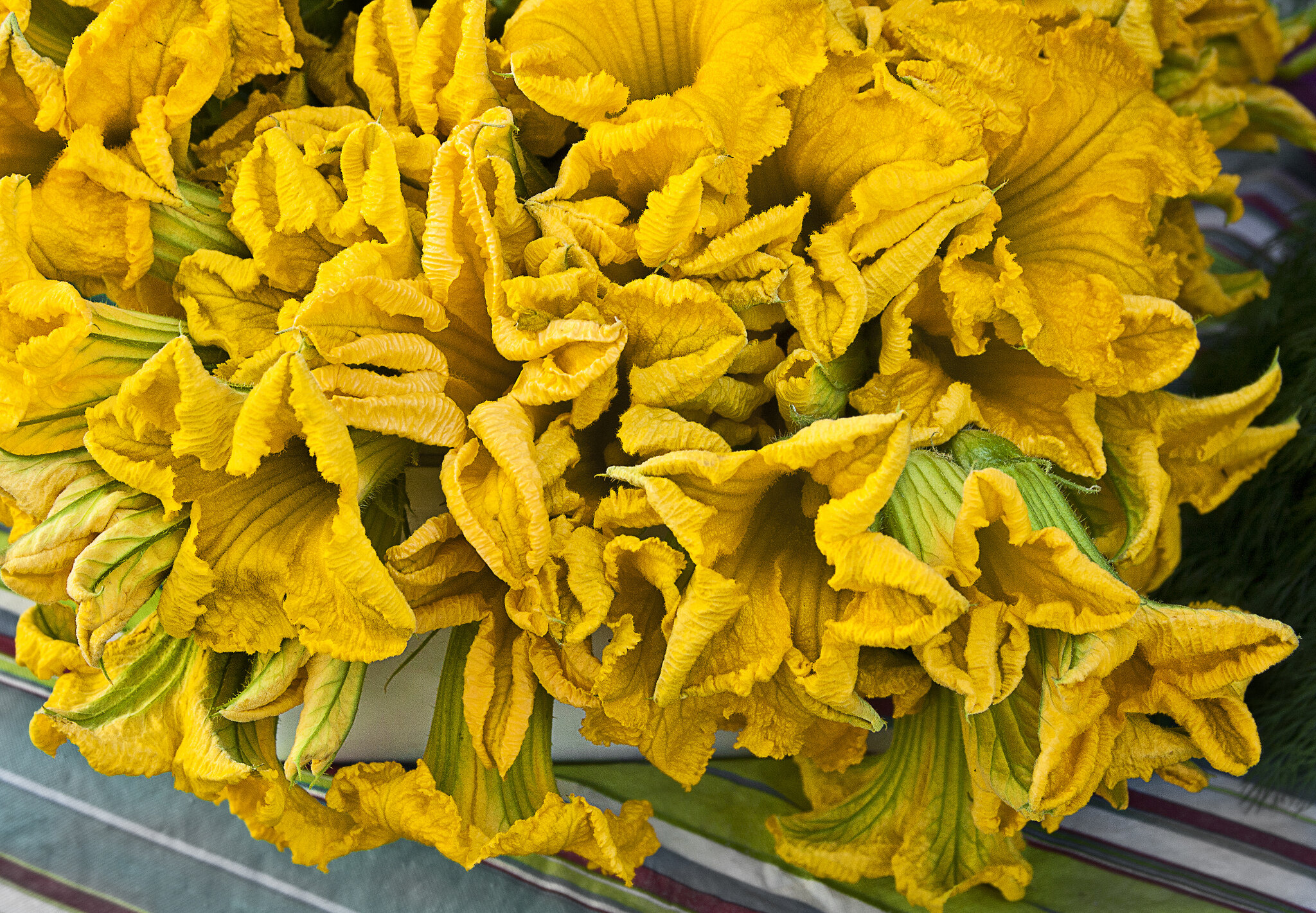 squash blossoms