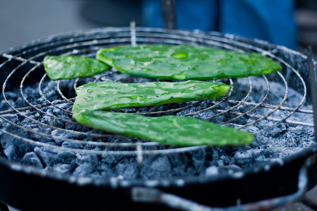 nopal, prickly pear, grilled cactus