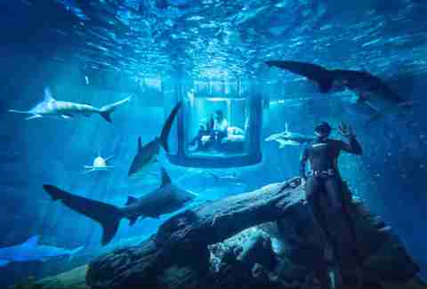 airbnb underwater shark tank