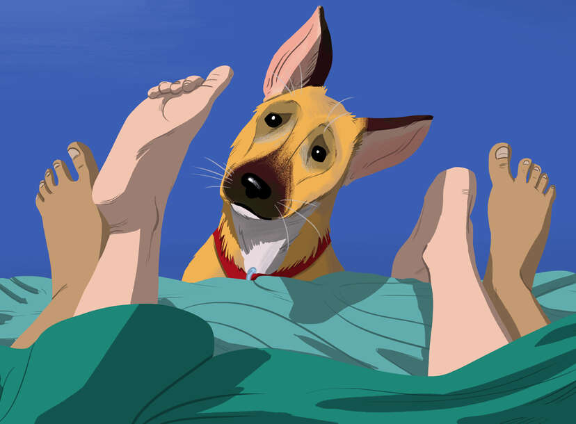Is It Ok To Have Sex In Front Of Your Dog Thrillist Is It Ok To Have Sex In Front Of Your Dog Thrillist