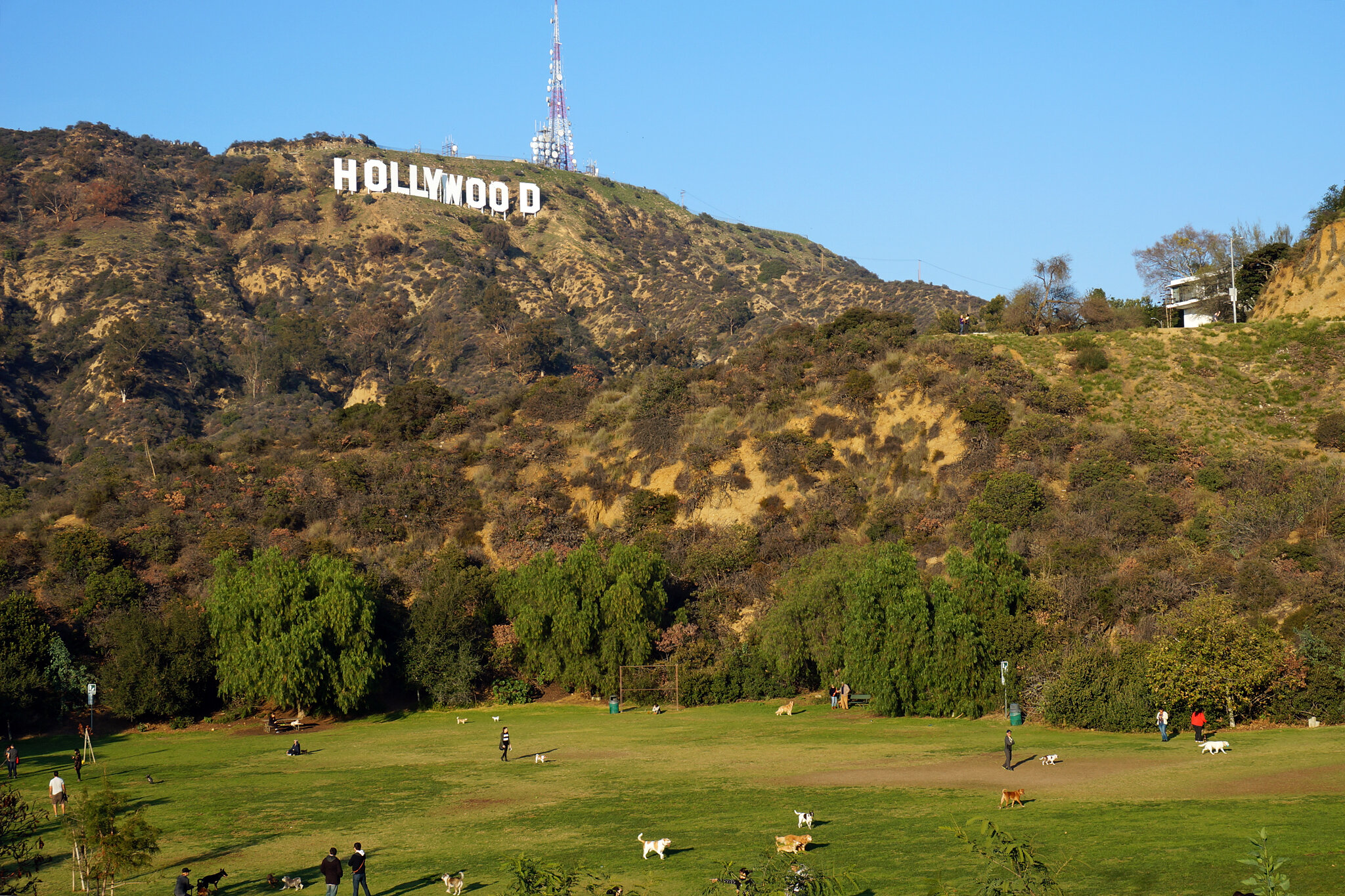 hollywood sign california los angeles