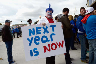 Chicago Cubs Fans