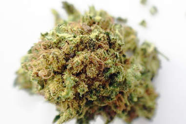 Best Marijuana For Laughing Weed That Makes Everything Funny Thrillist