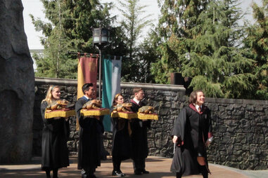 toad show harry potter hollywood universal studios