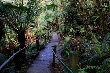 1000 steps melbourne