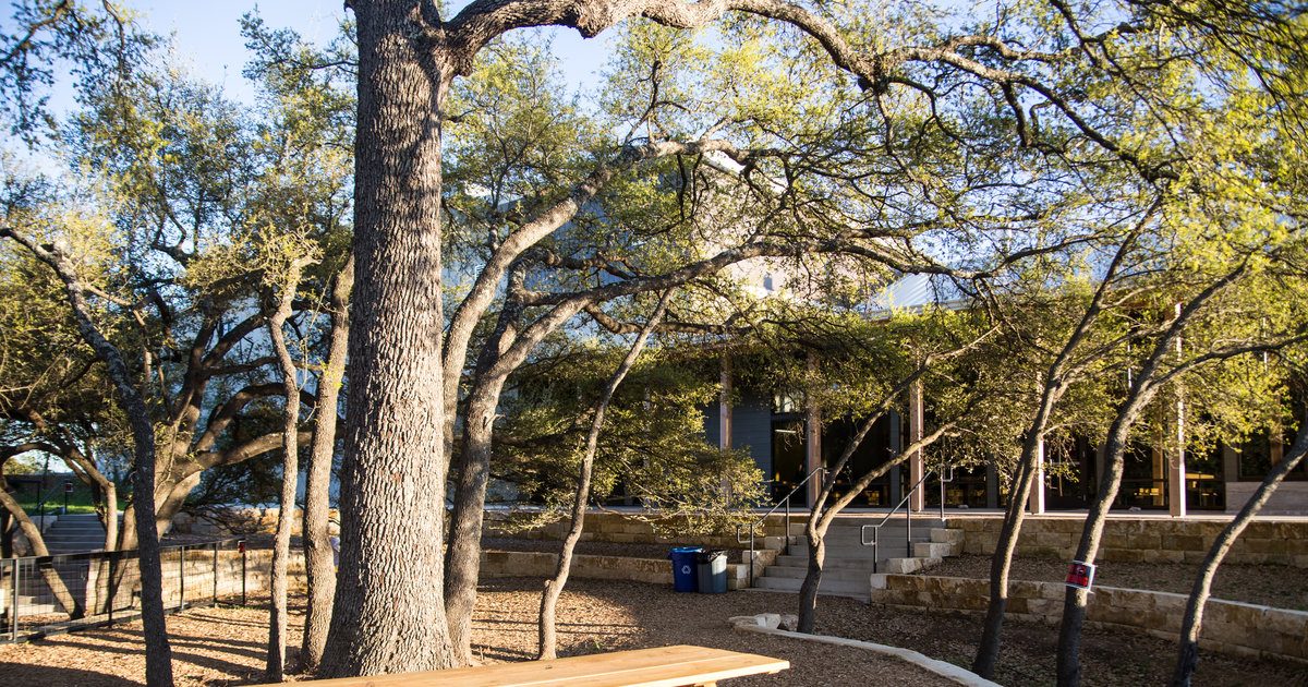 Live Oak Brewing Company Beer Cans Available Thrillist