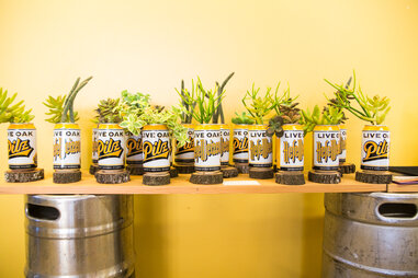 live oak cans