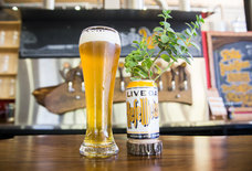 Why Two Decades Is Worth the Wait for Canned Live Oak Beer