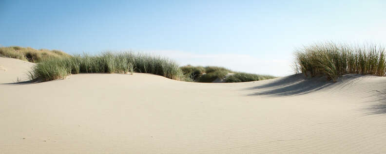 dunes oregon beaches