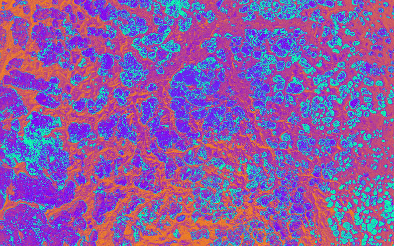 groovy wallpaper