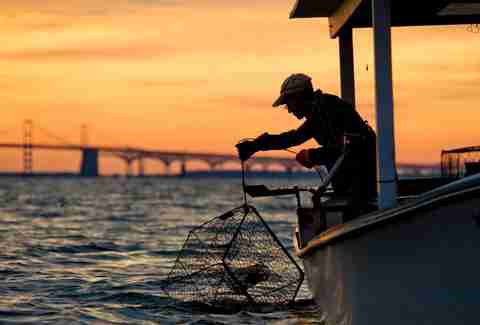 Cantler's Riverside catching crabs in Maryland