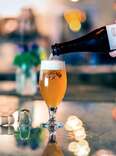 allagash brewing company beer trends