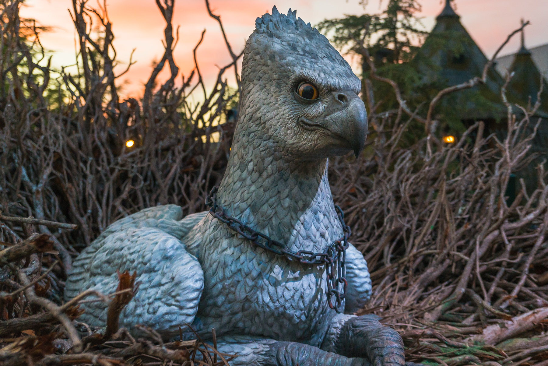 hippogriff, flight of the hippogriff