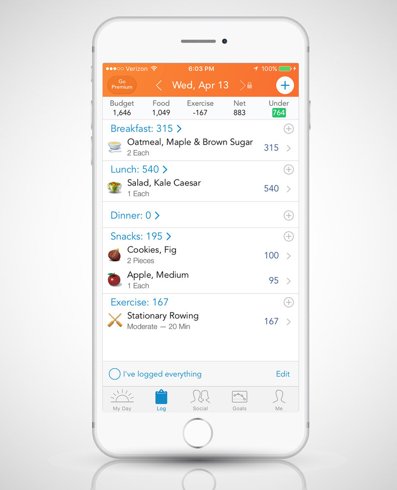 screenshot of Lose It app