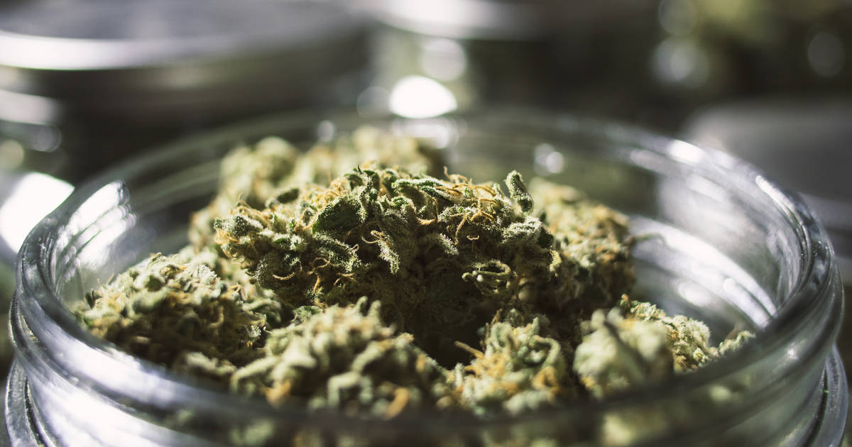 Marijuana Storage Methods - How to Store Weed - Thrillist