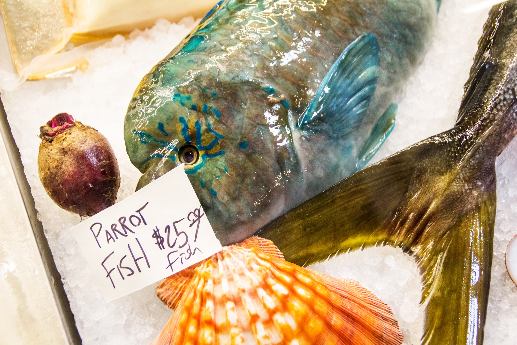 parrot fish, fish market, liberty public market