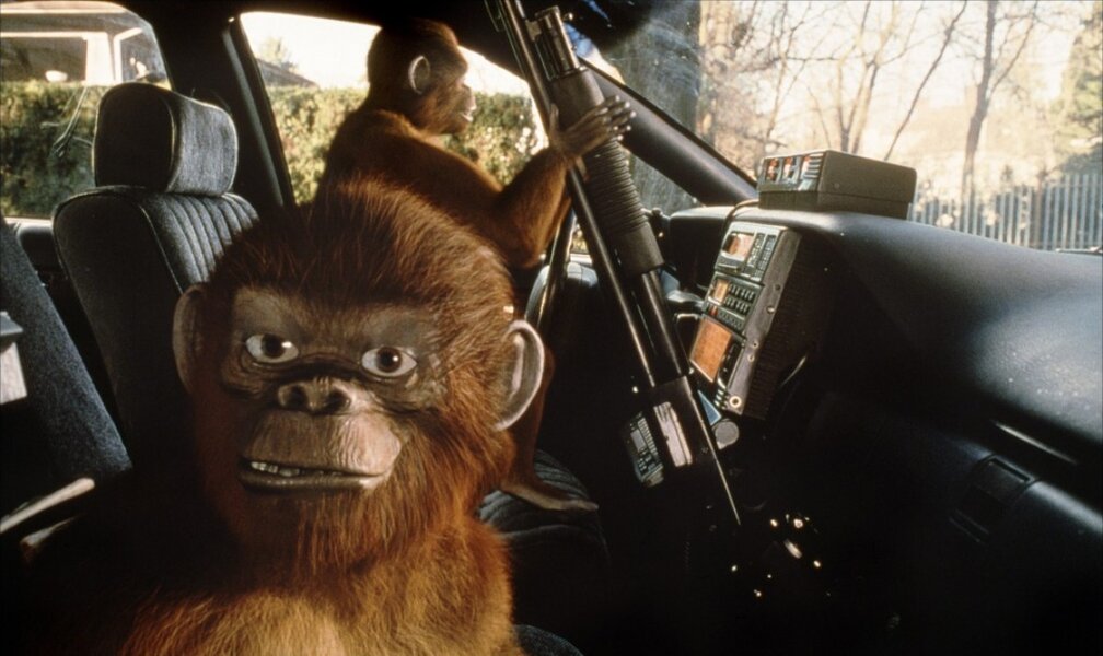 Jumanji Monkeys Kitchen