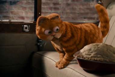 Garfield, CGI Animals, Pie, Cat