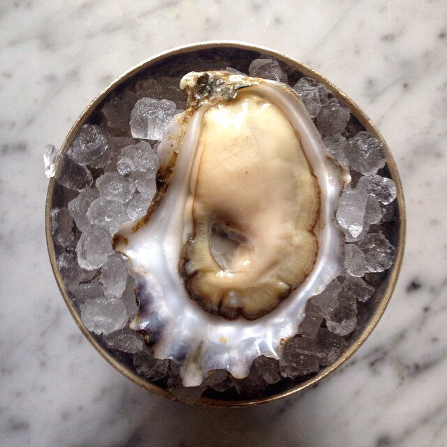 Kimball House, oyster