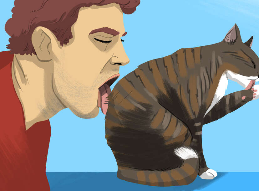 How to Give Oral Sex - Thrillist How to Give Oral Sex - Thrillist