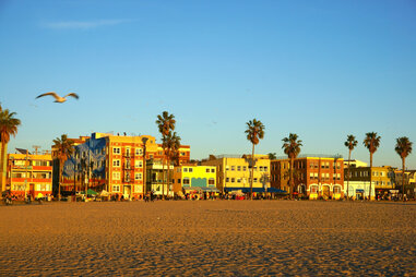 Venice Beach