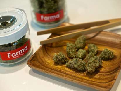 Cannabis at Farma