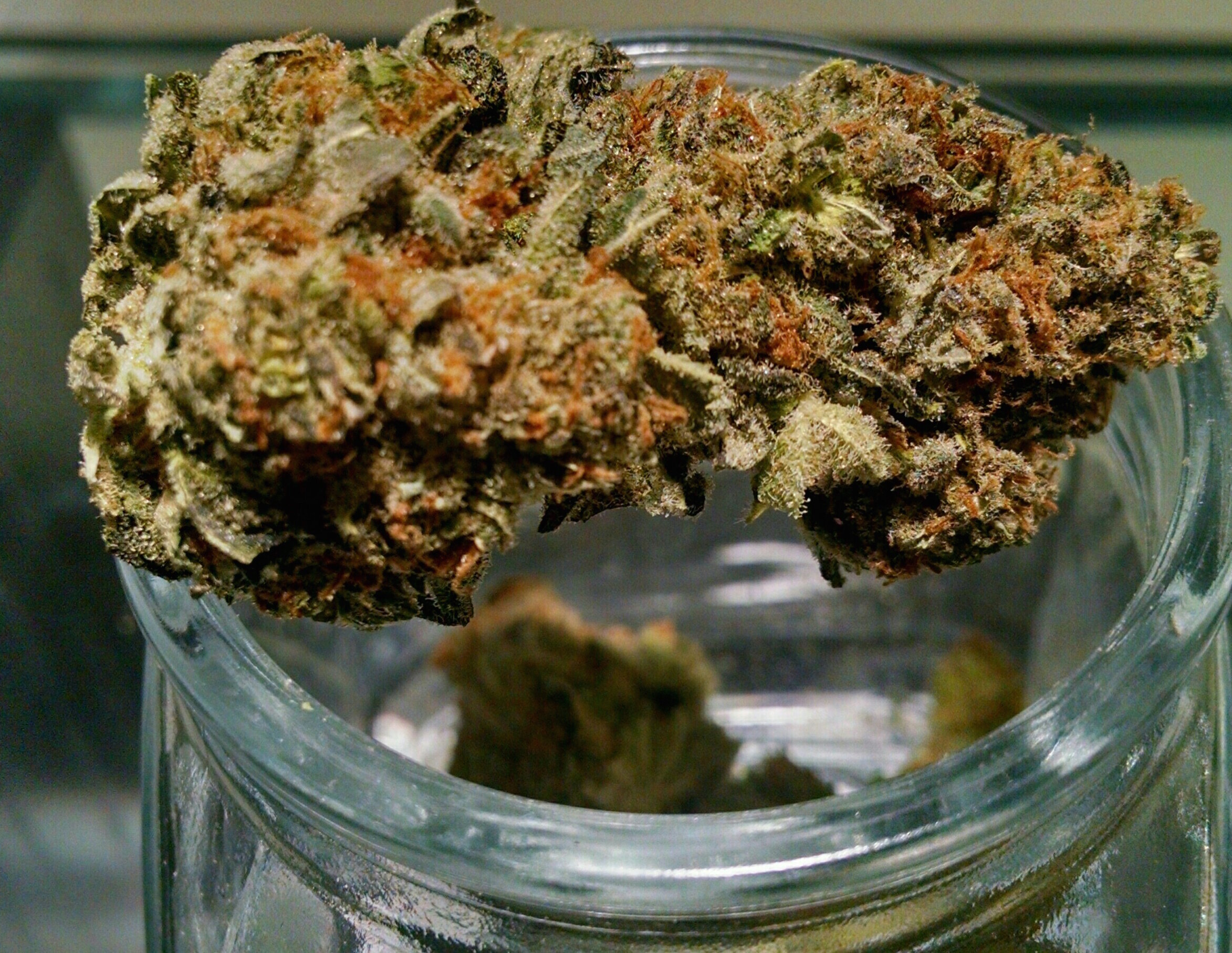 Mandarin OG Native Roots Aspen marijuana