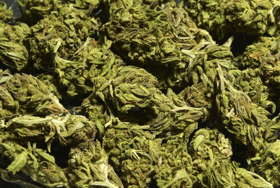 Herb N Legends A Other in Phoenix, AZ Thrillist