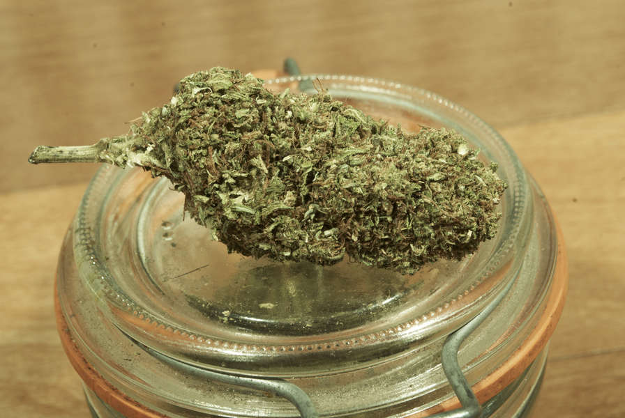 Cascade Herb Company: A Other in Bellingham, WA - Thrillist