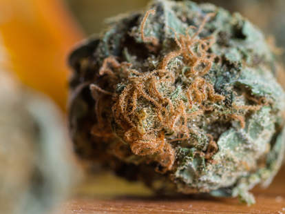 weed, bud, marijuana