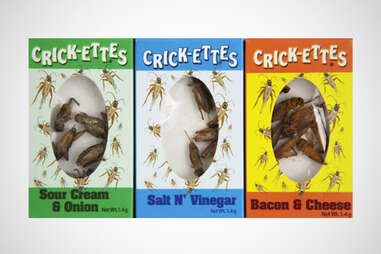 Edible Crickets