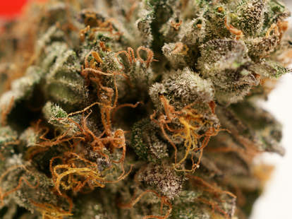 weed