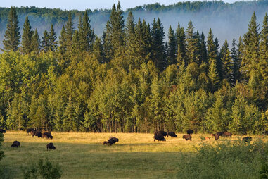 Prince Albert National Park