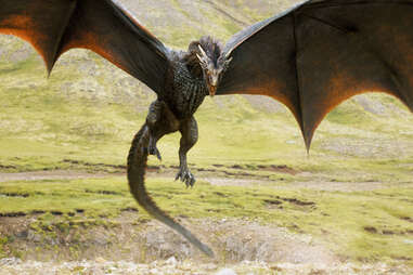 HBO Game of Thrones dragon
