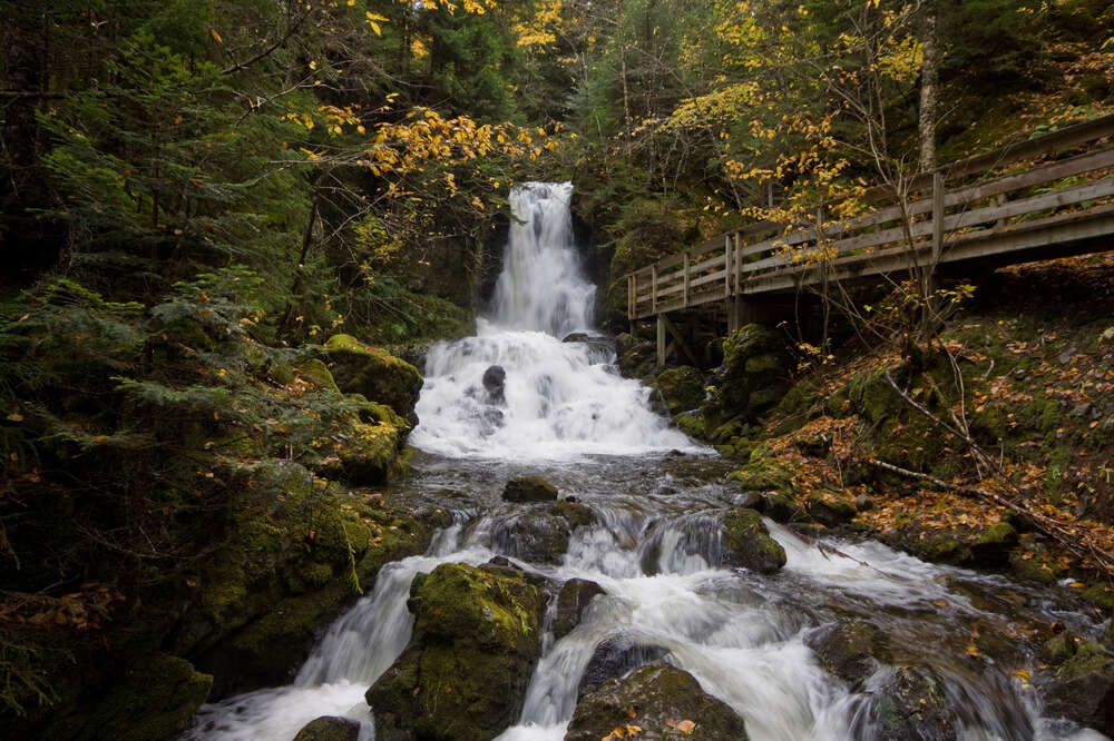 Guide to Fundy National Park in New Brunswick, Canada - Thrillist