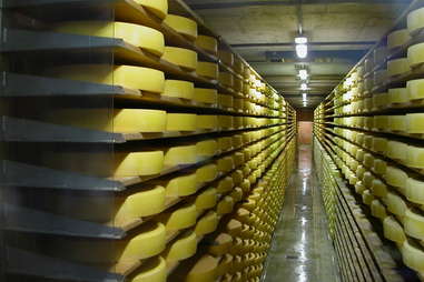 All the Aging Gruyere