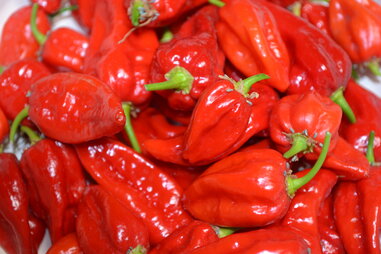 ghost peppers