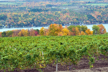 Finger Lakes, NY