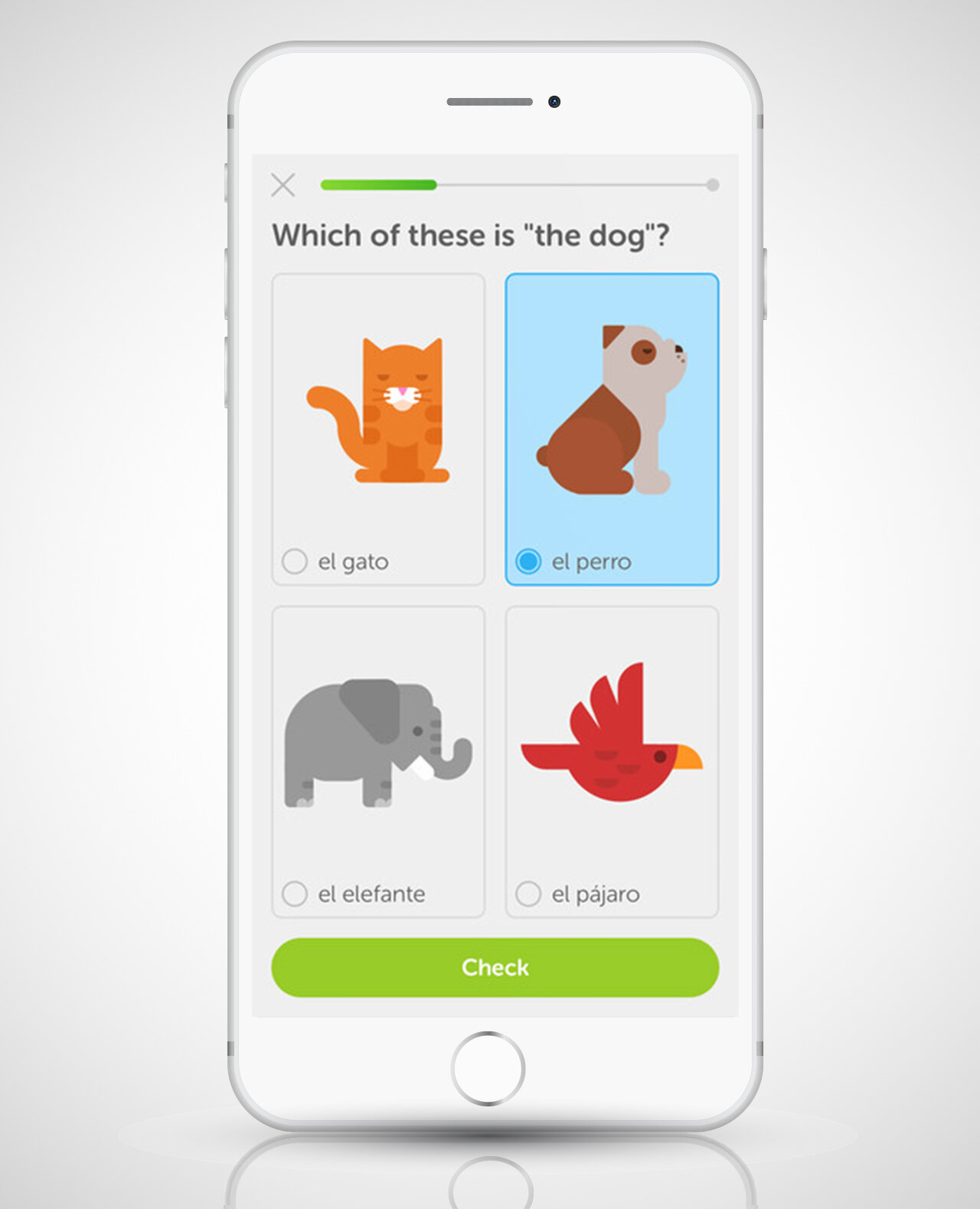 scrreenshot of duolingo