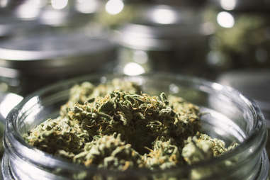 Marijuana cannabis jar