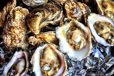 Goin’ Coastal oysters