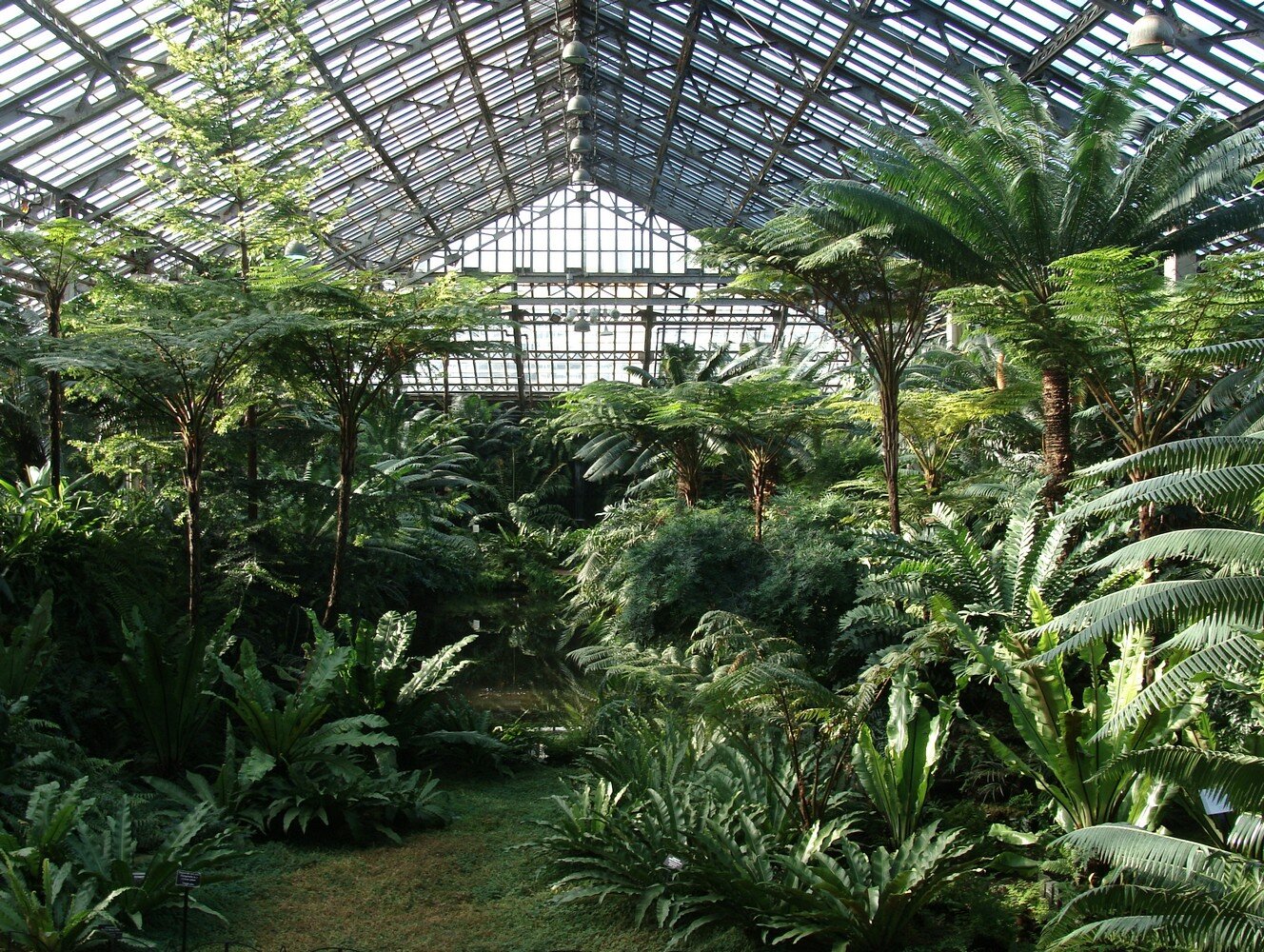 Garfield Park Conservatory