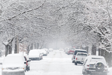 snow michigan street trees thrillist