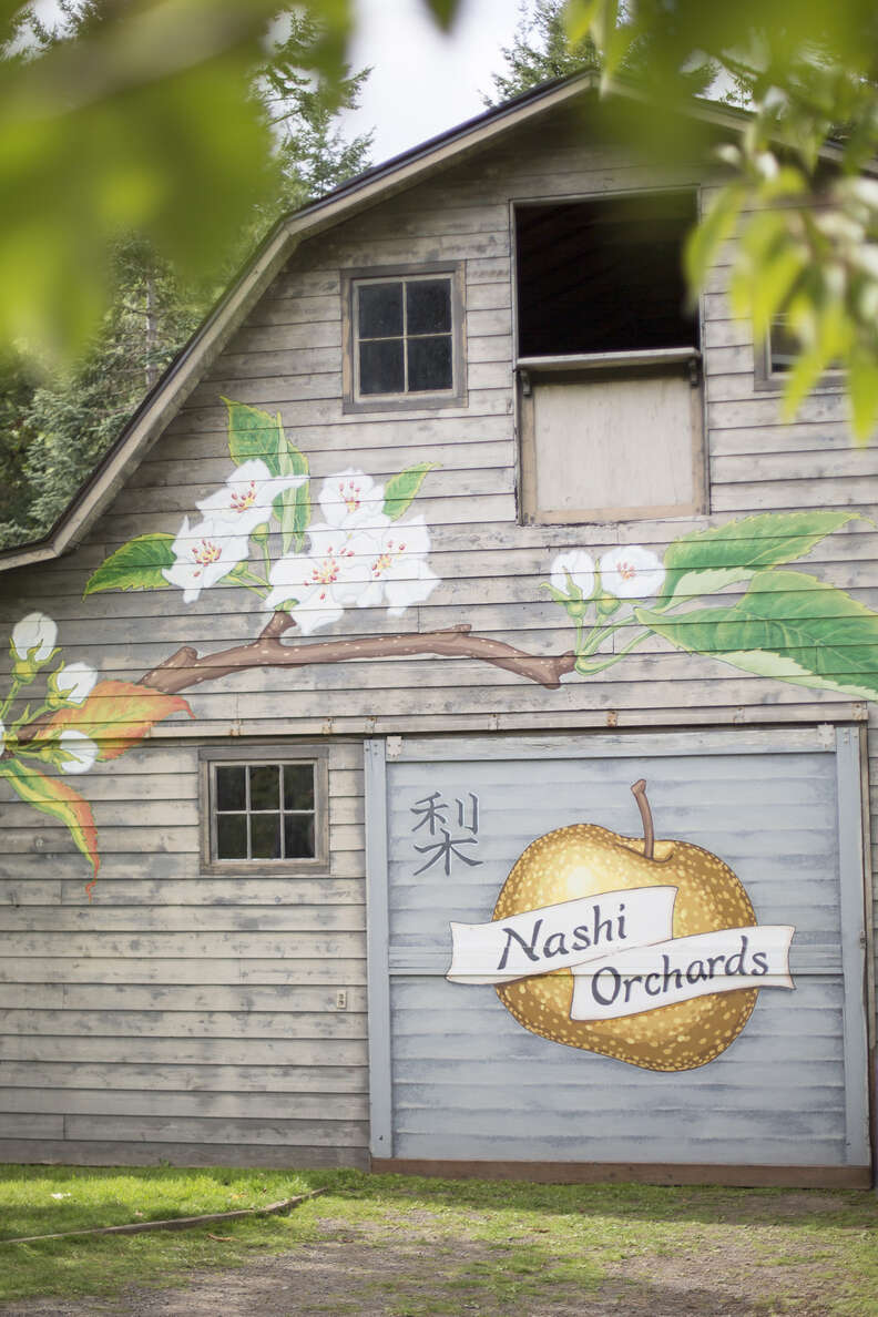 Nashi Orchards seattle