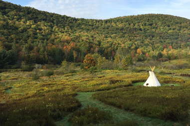 Blue Jay Tipi