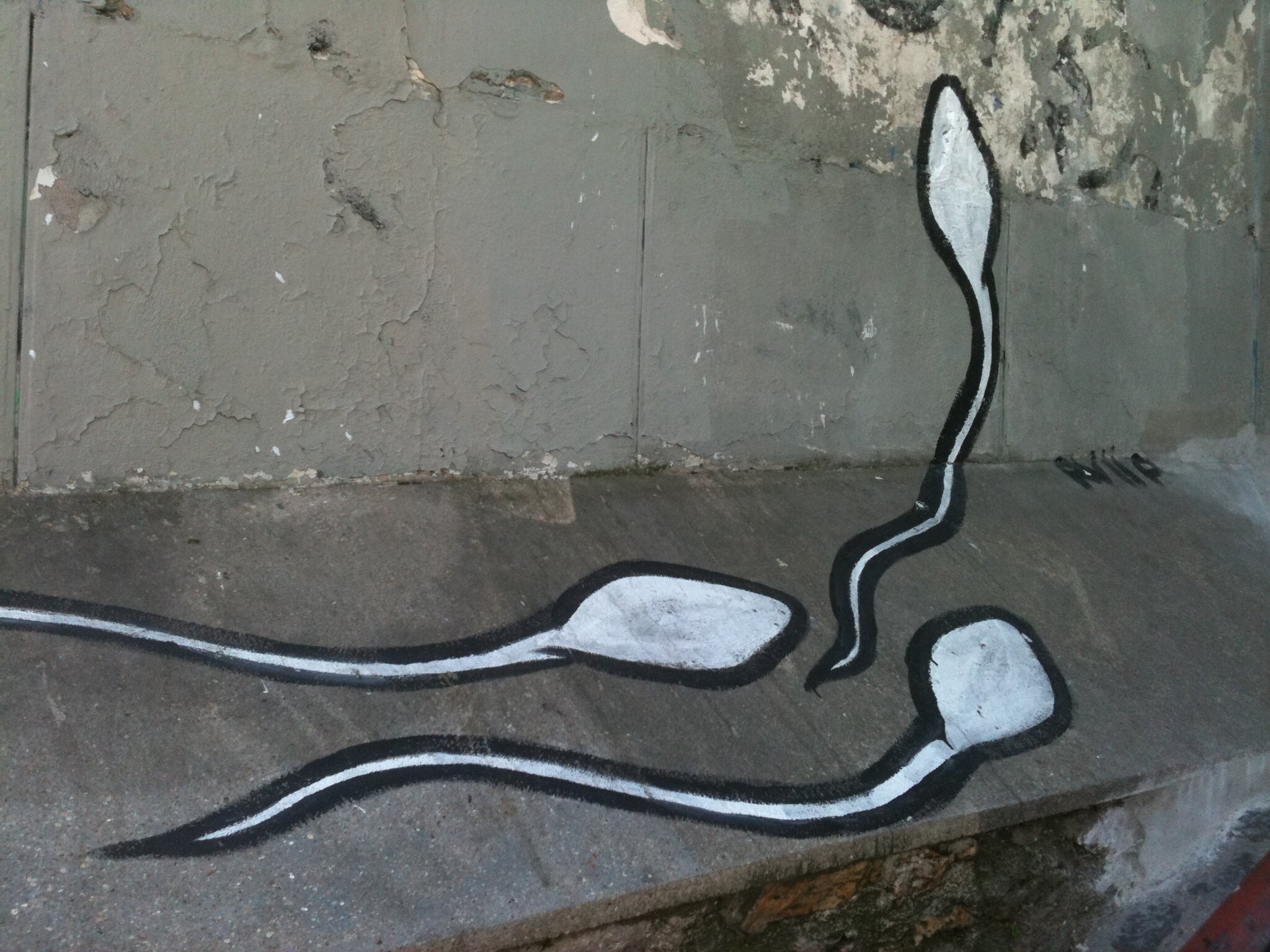 sperm graffiti