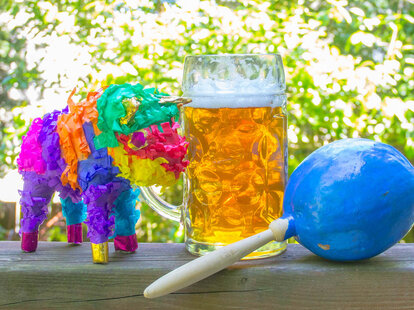 mexican craft lager beer cinco de mayo